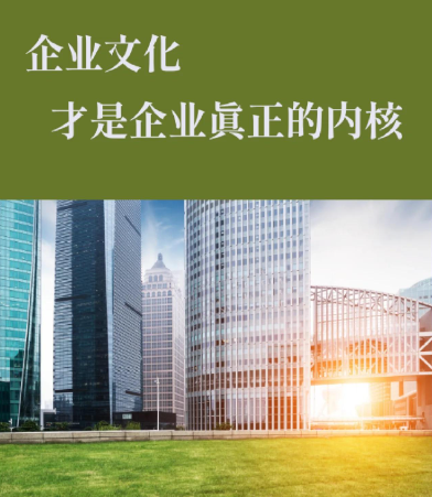 有料小说网内容库扩容背后的技术架构升级解析